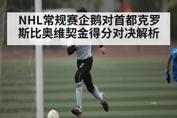 NHL常规赛企鹅对首都克罗斯比奥维契金得分对决解析 - kaiyun